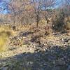 Parts of the road pass through dry washes requiring some route finding