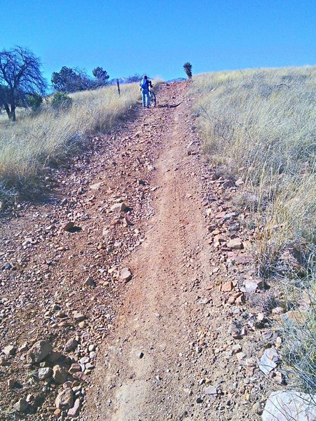 Road section of AZ Trail