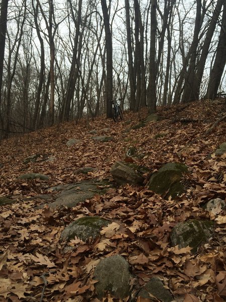 Longest rock garden (50ft) in the system.