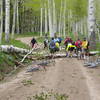 Early season wind falls on the Hauser Road section.