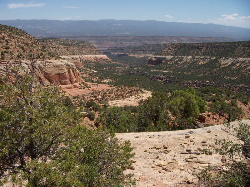 Looking down Red Canyon with the Uncompaghre Plateau to the northeast.
