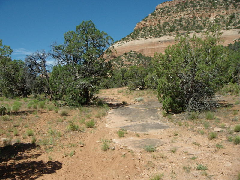 The two track up Red Canyon