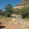 The two track up Red Canyon