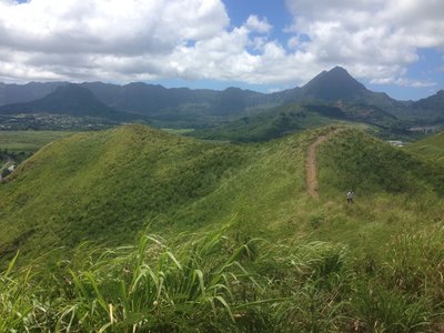 Nice section of trail!
