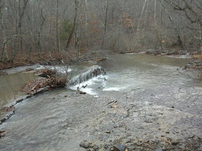 Knuckles Creek crossing