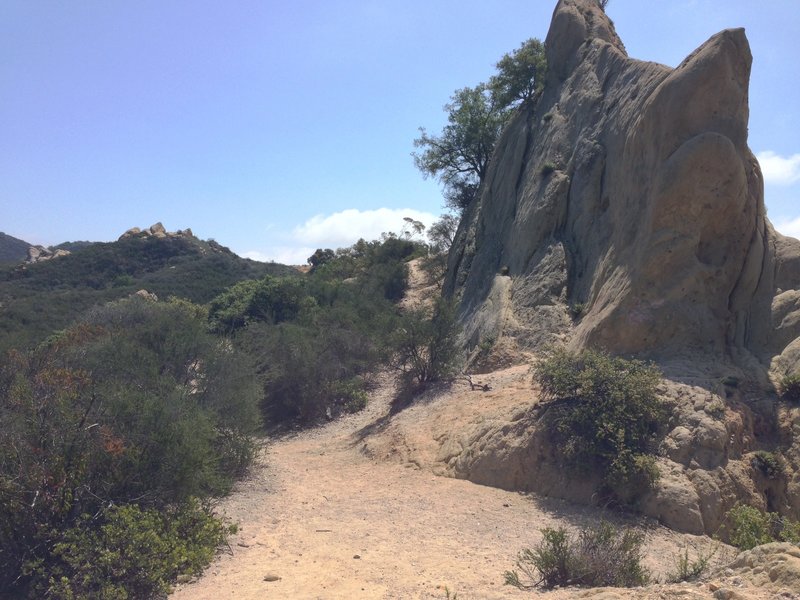 Start of some singletrack