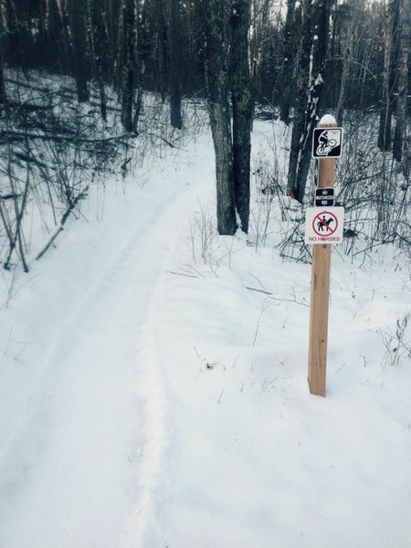 Fat Bike Trailhead