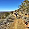 Cruising on Sidewinder Trail