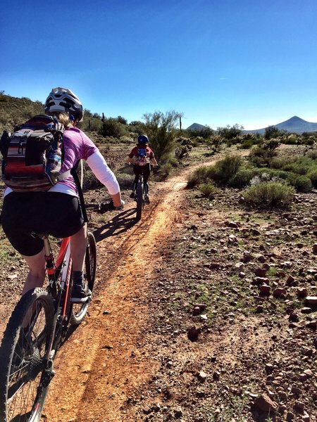 Apache Wash Trail