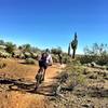 Ocotillo Trail