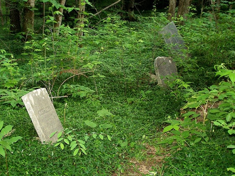 Family burial plot on Braley Hill Rd, near the North end of the Creek Trail (B6).
