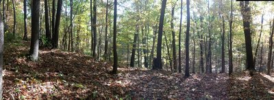 Hess Trail in fall