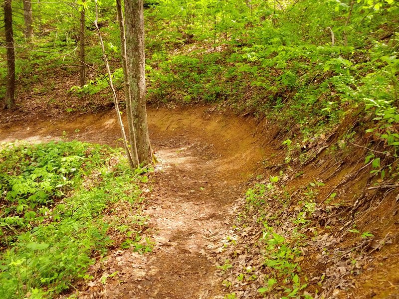 Berm on Pinnacle Mountain Tower Trail