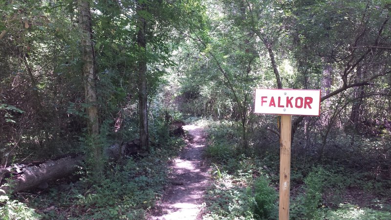 Entrance to Falkor.