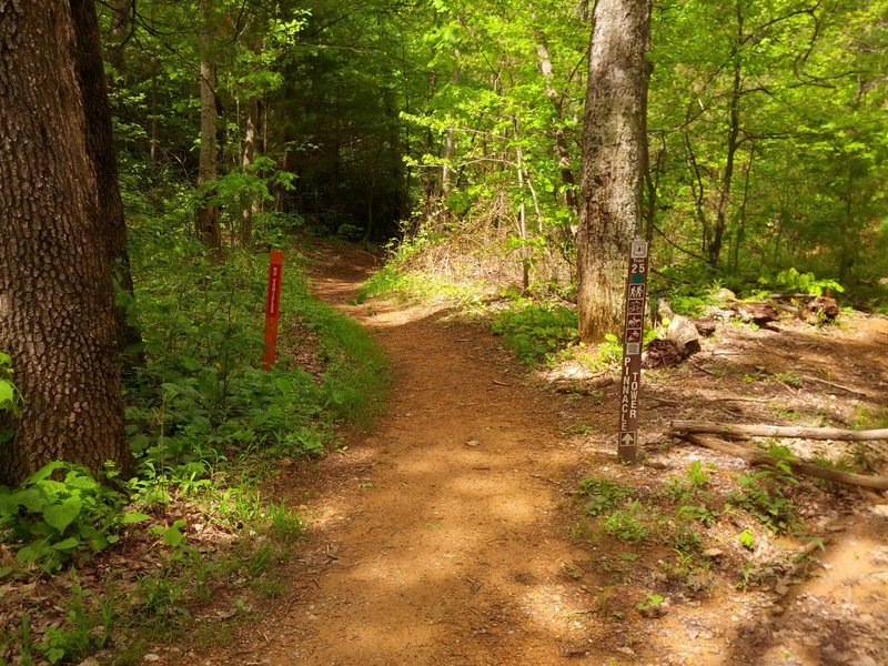 Trail just after intersection