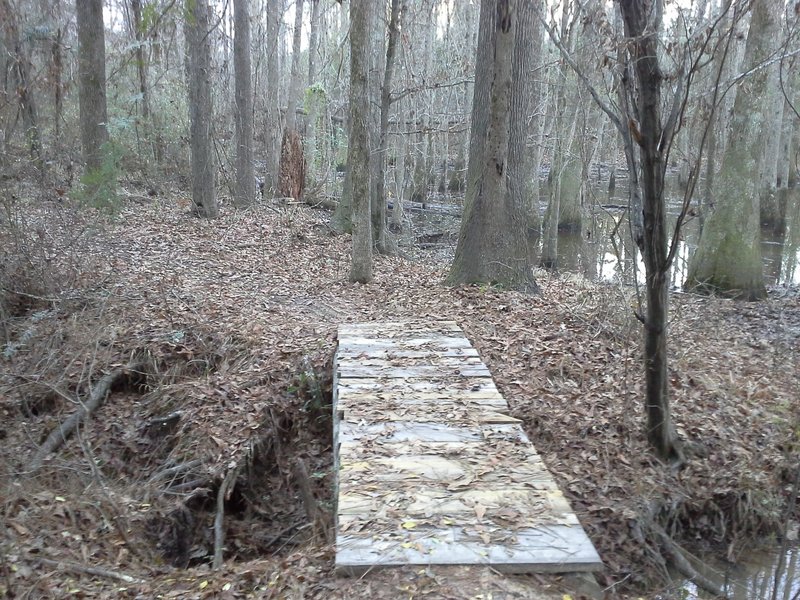 Bridge over creek bed