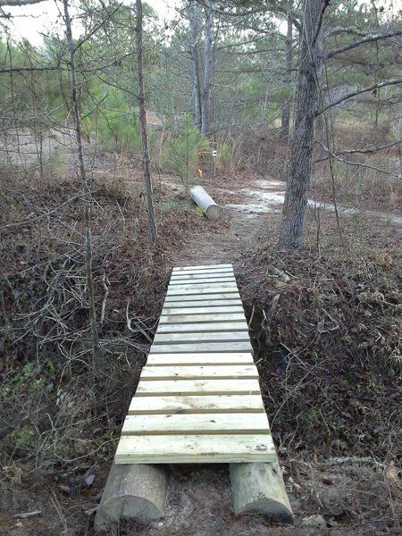 Skinny bridge following technical section.  Petal River Park Trails