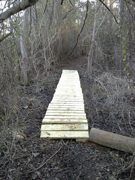 Bridge through gum lagoon