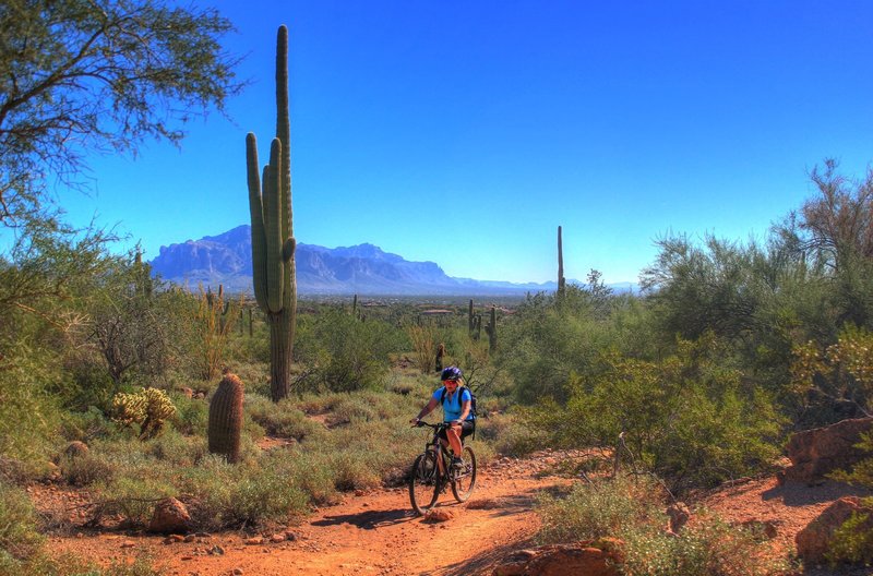 Coming around Cat's Peak with the Superstitions in the background