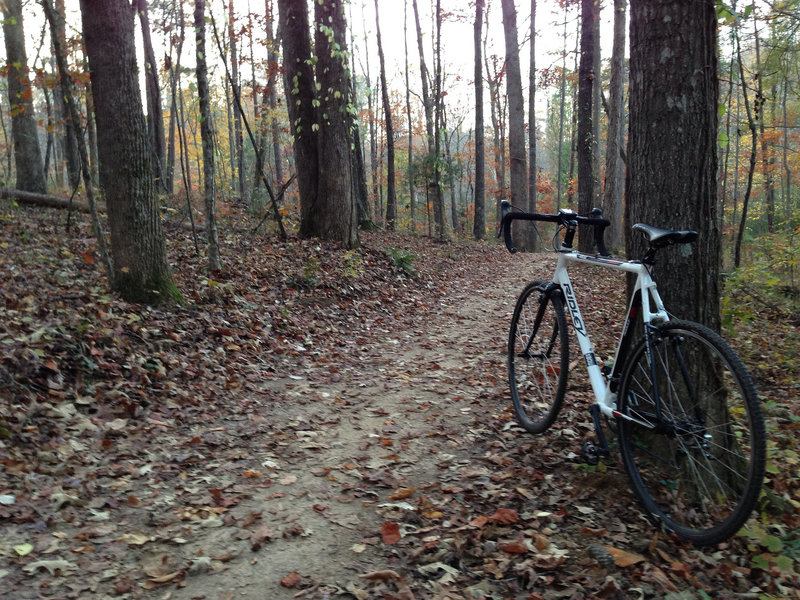 A great singletrack that's mellow enough for the CX bike.