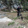Lots of stream crossings on the way up Gabrielino Trail.  It's a challenge not to fall in at least once!