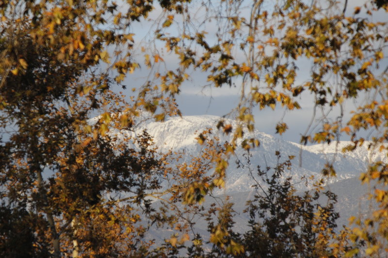 Frank G. Bonelli Regional Park