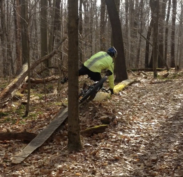 Oops - on Lookout Trail