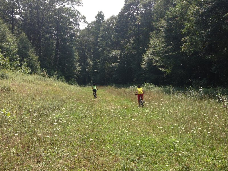 Gentle descent on Red Oak Trail