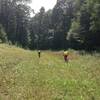 Gentle descent on Red Oak Trail