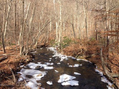 At bridge crossing Jones Mill Run