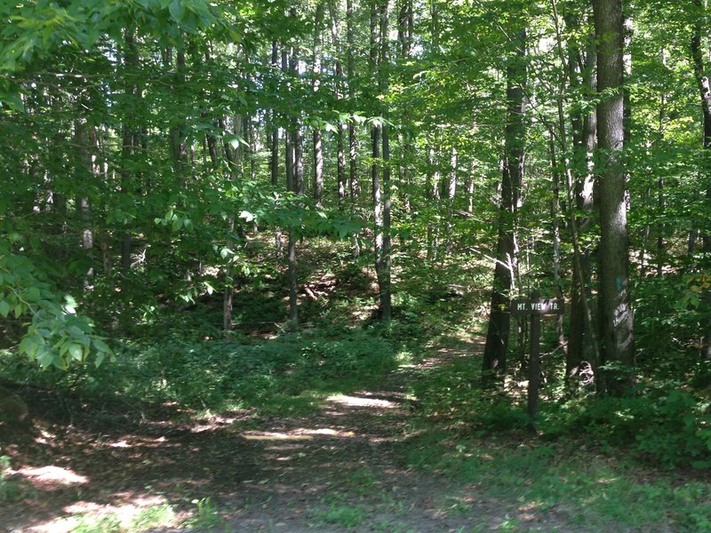 Mountain View trailhead