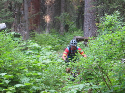Once the upper trail is dry enough to ride, it gets hard to find- in Blodgett Canyon
