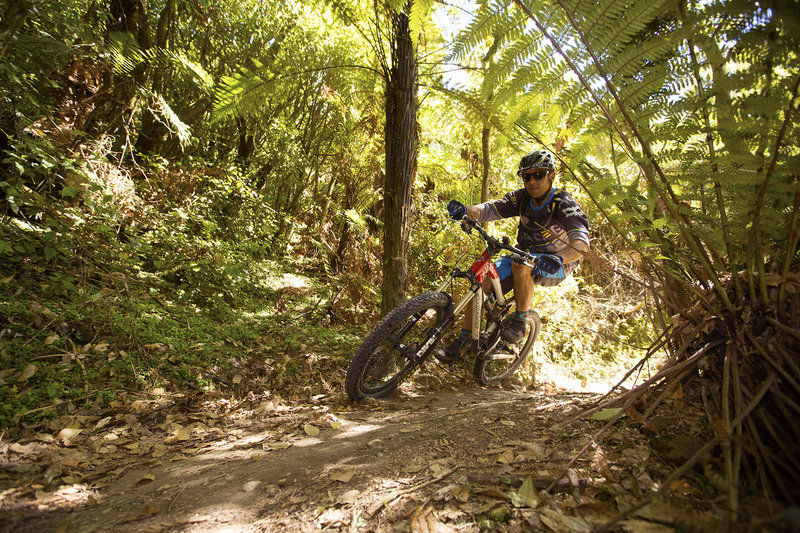 Riding through the bush on the Rotary Ride mountain bike trail