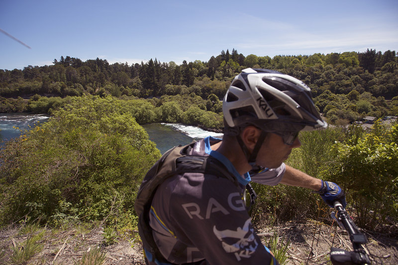 Overlooking the Waikato River