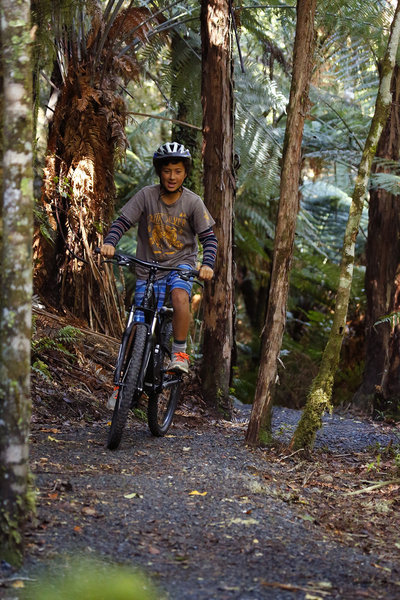 Riding through the native bush on the Tongariro River Trail