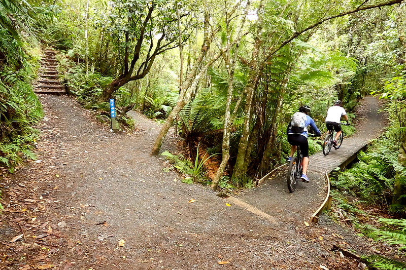 At the northern end of the Tongariro River Trail