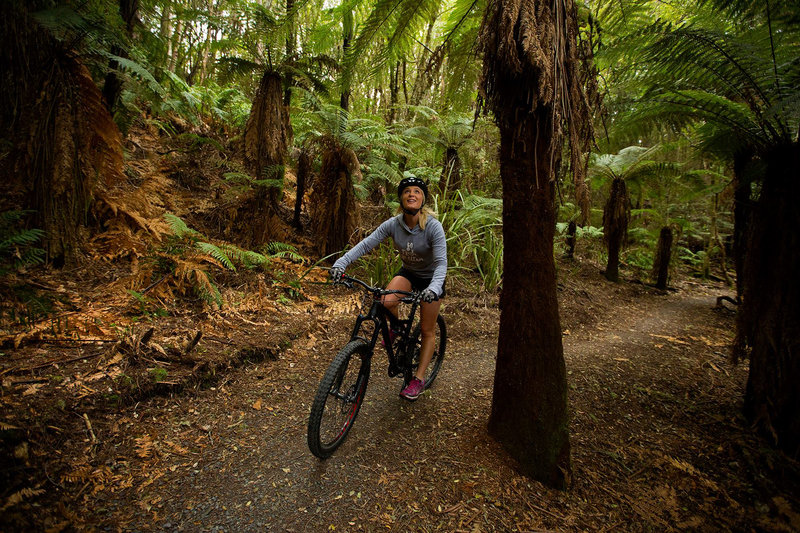 Marvel at the native bush on the Tongariro River Trail