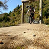 Crossing the swing bridge at the start of the Waihaha Mountain Bike Trail