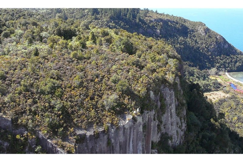 Aerial view of the cliffs at the end of the Waihaha Mountain Bike trail, showing Waihaha Bay and the Waihaha River