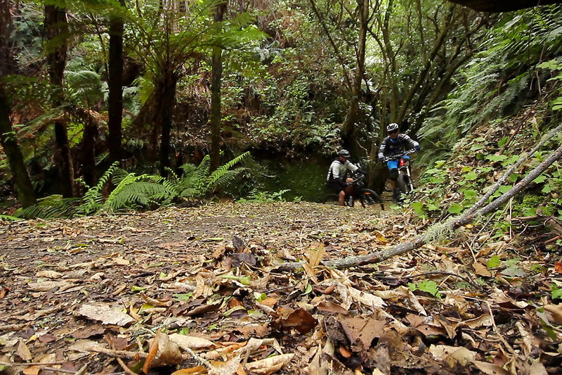 Climbing up the K2K mountain bike trail from Kawakawa Bay