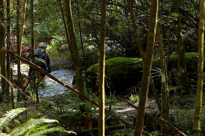River crossing at the halfway point on the Tree Trunk Gorge mountain bike trail
