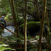 River crossing at the halfway point on the Tree Trunk Gorge mountain bike trail