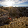 The Steep Tech trail features big drops and staircases. It's definitely a gravity rider's delight.