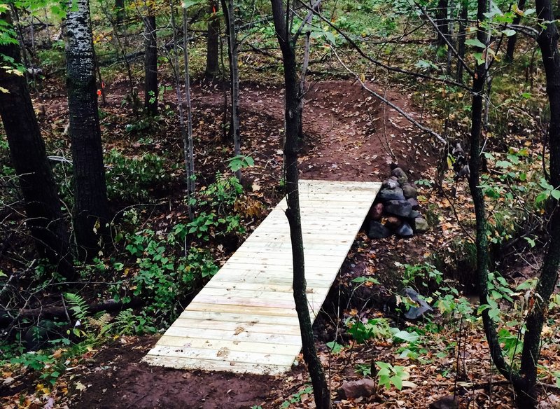 Bridge on Erratic Rock Trail