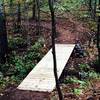 Bridge on Erratic Rock Trail