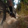 Clear cut moon dust on Trail #224 Piah Creek