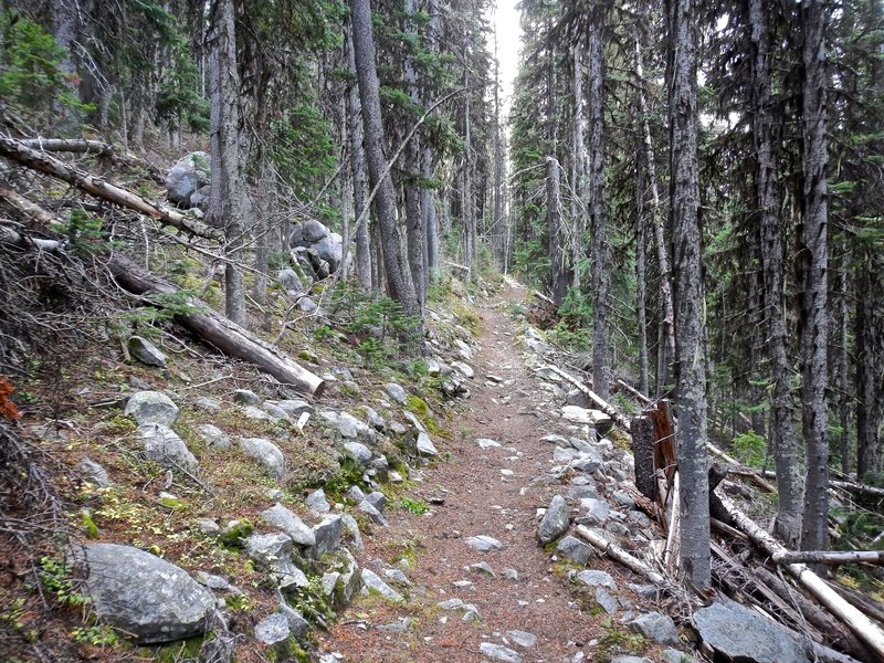 Kettle Crest Trail