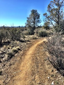 Embry-Riddle / Jan Alfano trail