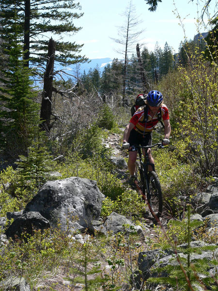 A few rocks on Blodgett Canyon Trail