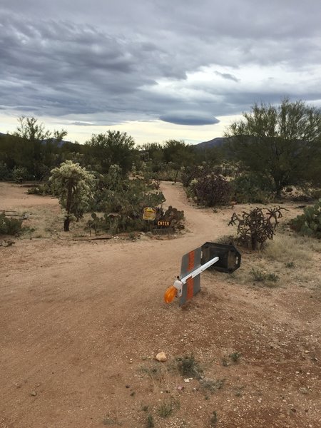 Entrance to Bunny. Singletrack one way. Keep to the right.